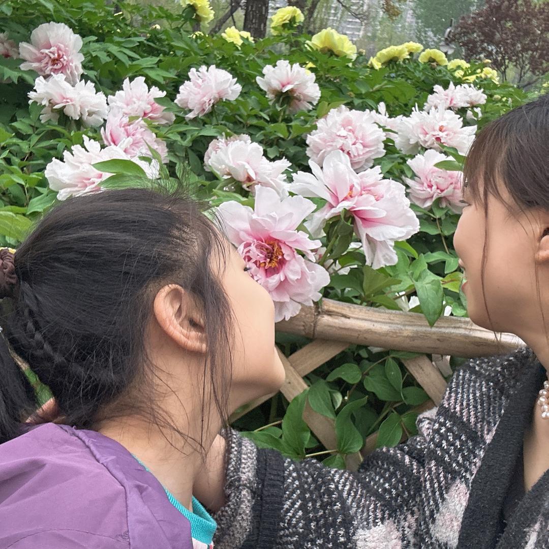 🌷老街坊酸菜鱼辣子鸡
