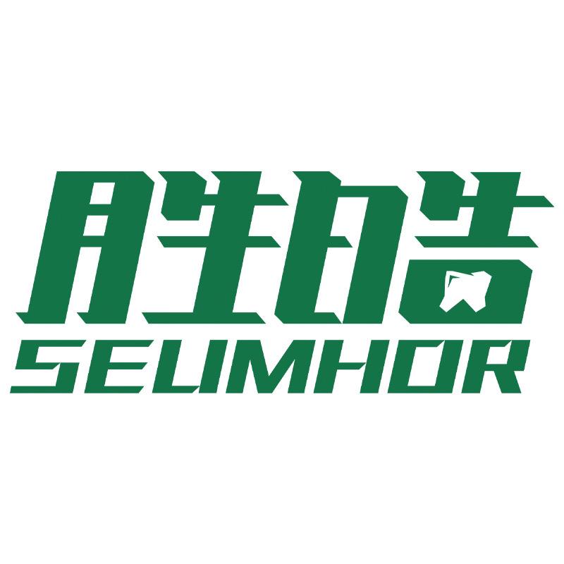 SEUMHOR胜皓凯翼专卖店