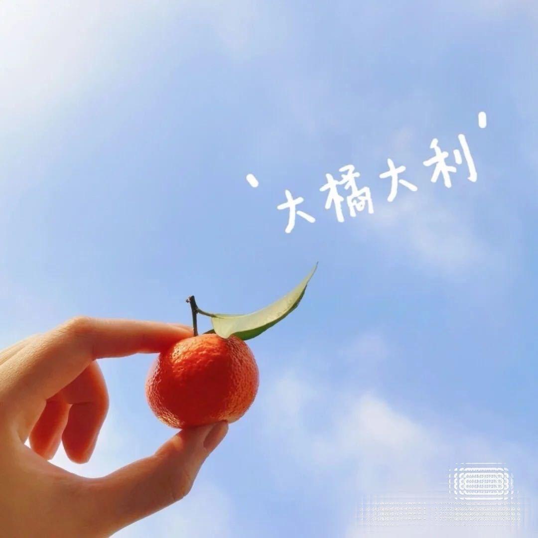 一叶小舟