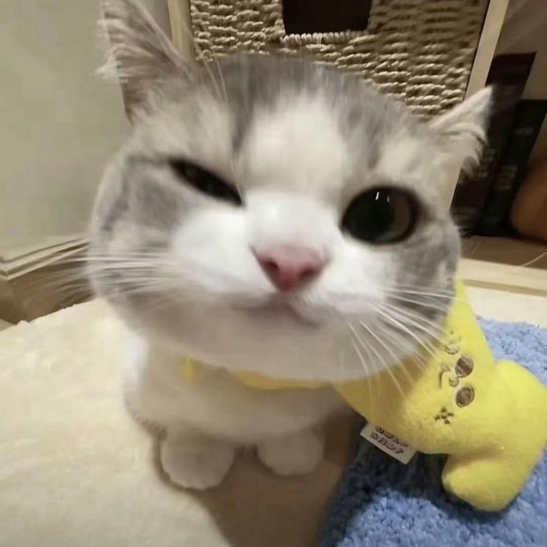 🌶️🌶️⚡️