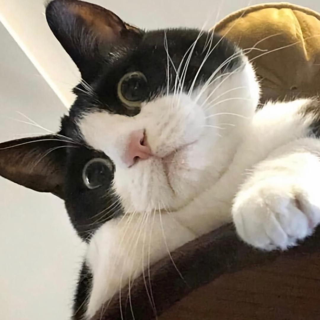 迷.