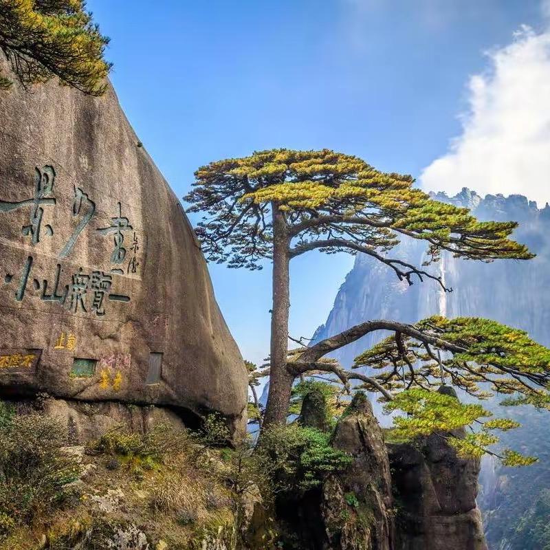 皖南小张Z.