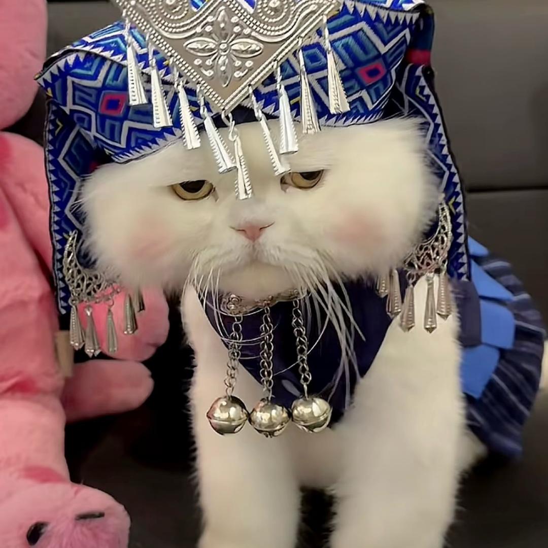 🌈住在财神心尖上