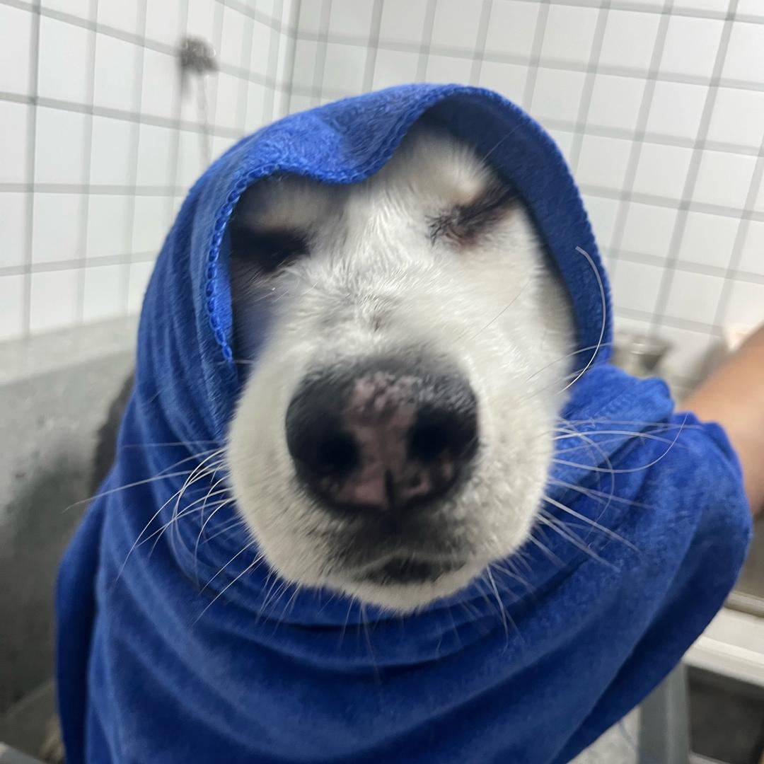 墨小白是总攻。 #