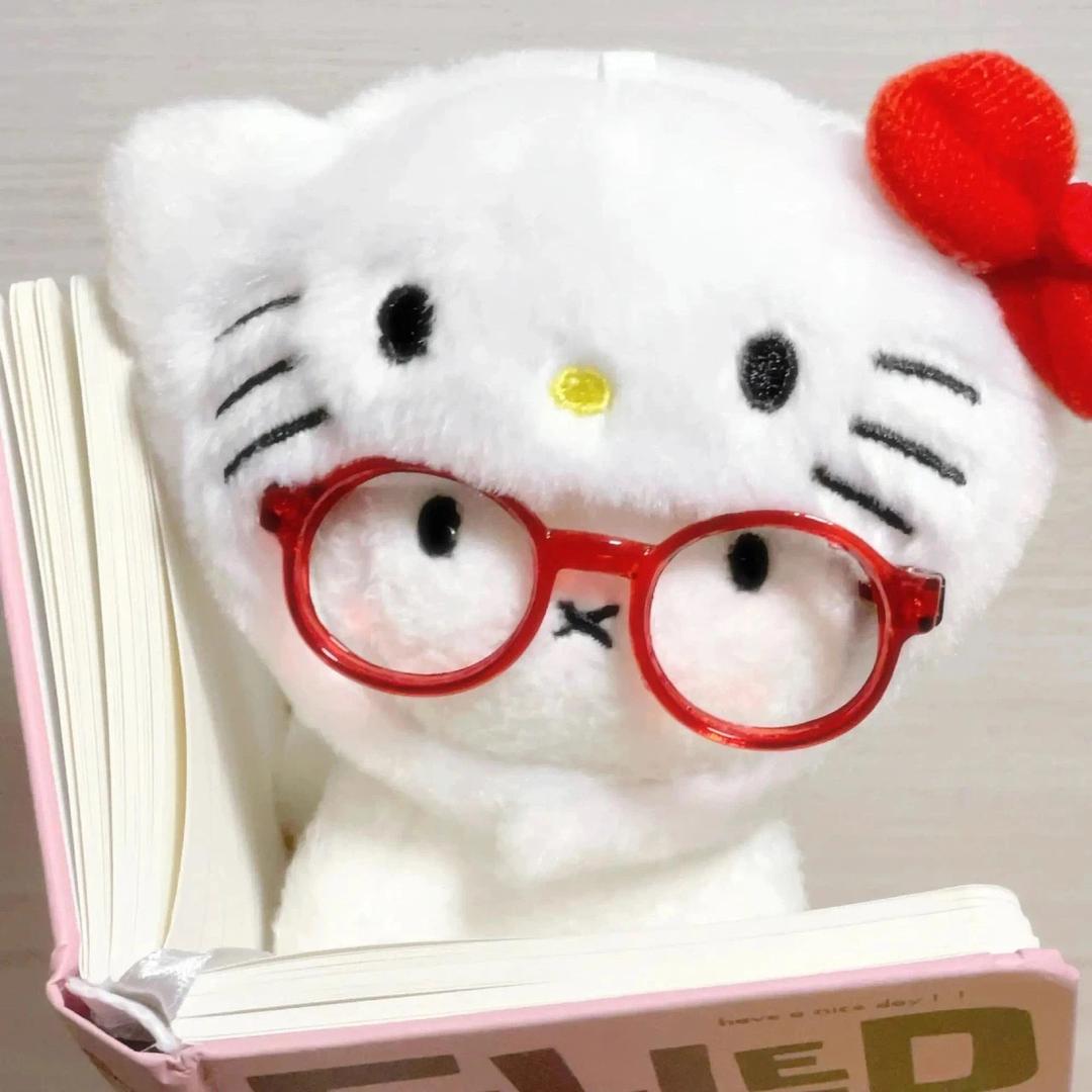 赵美财财财财财