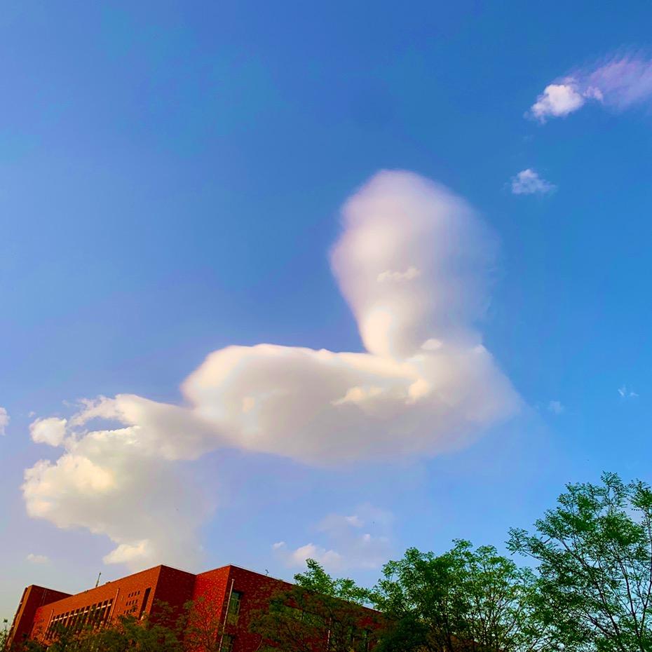 克斯维尔的明天hhhh📷