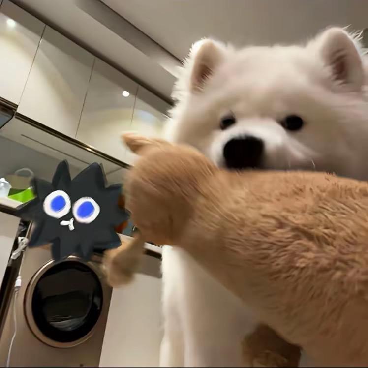 - 15