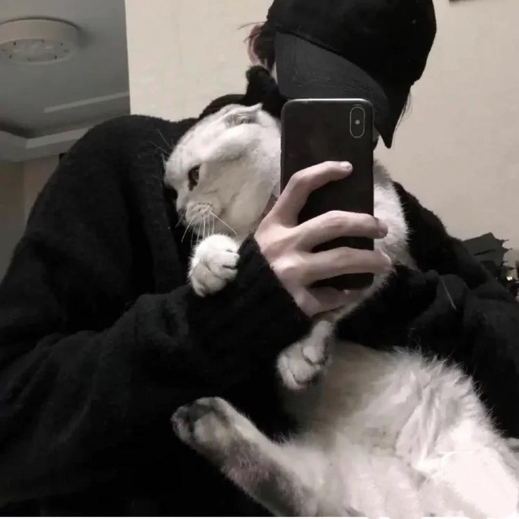 牧敶