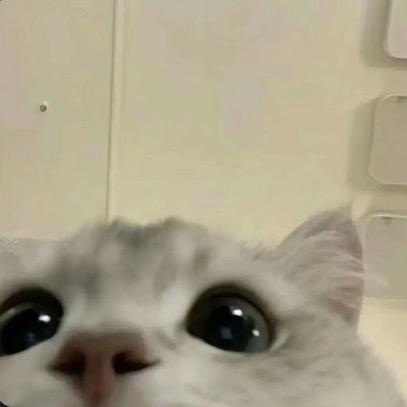 影.
