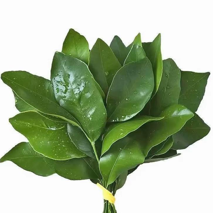 柠檬、