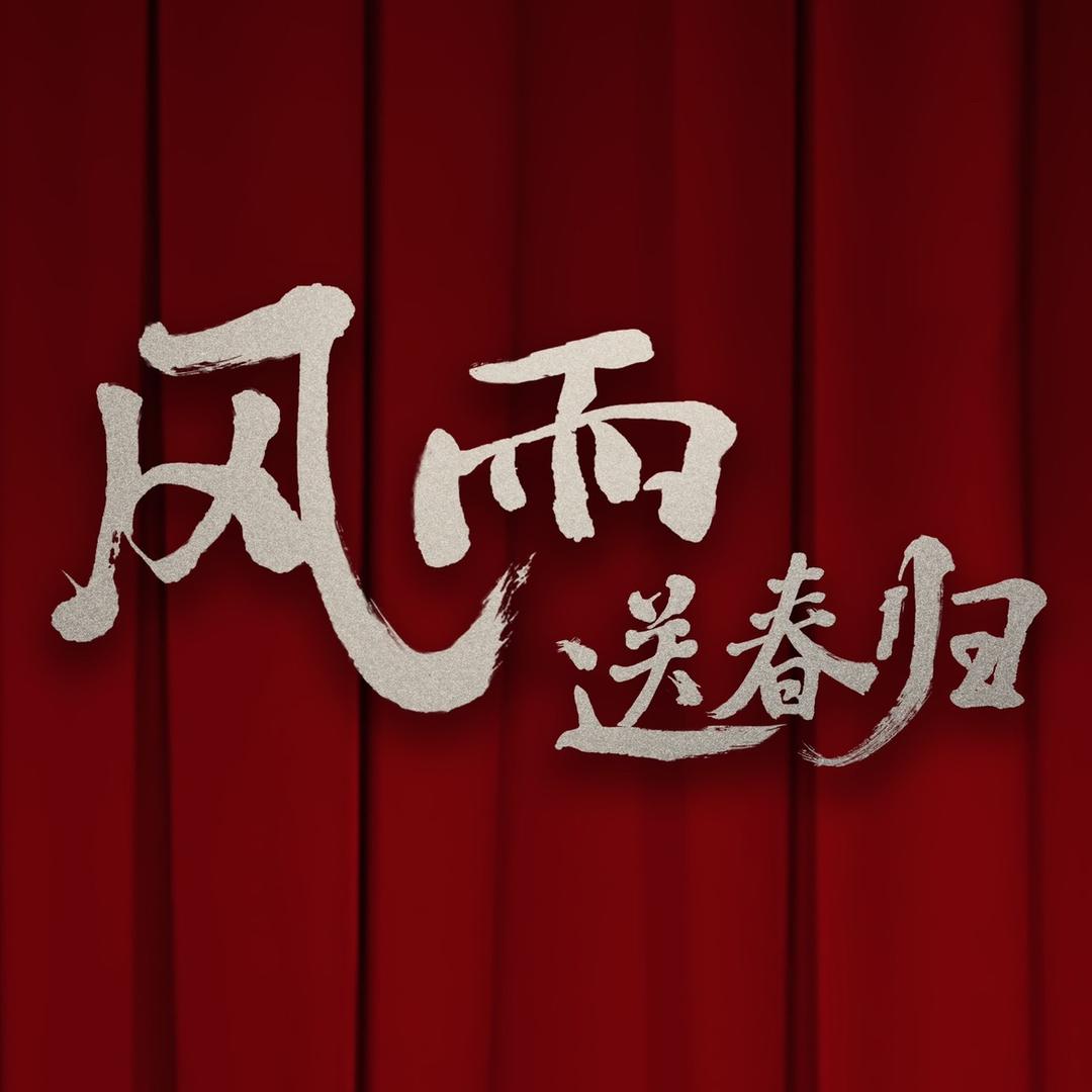 电视剧风雨送春归
