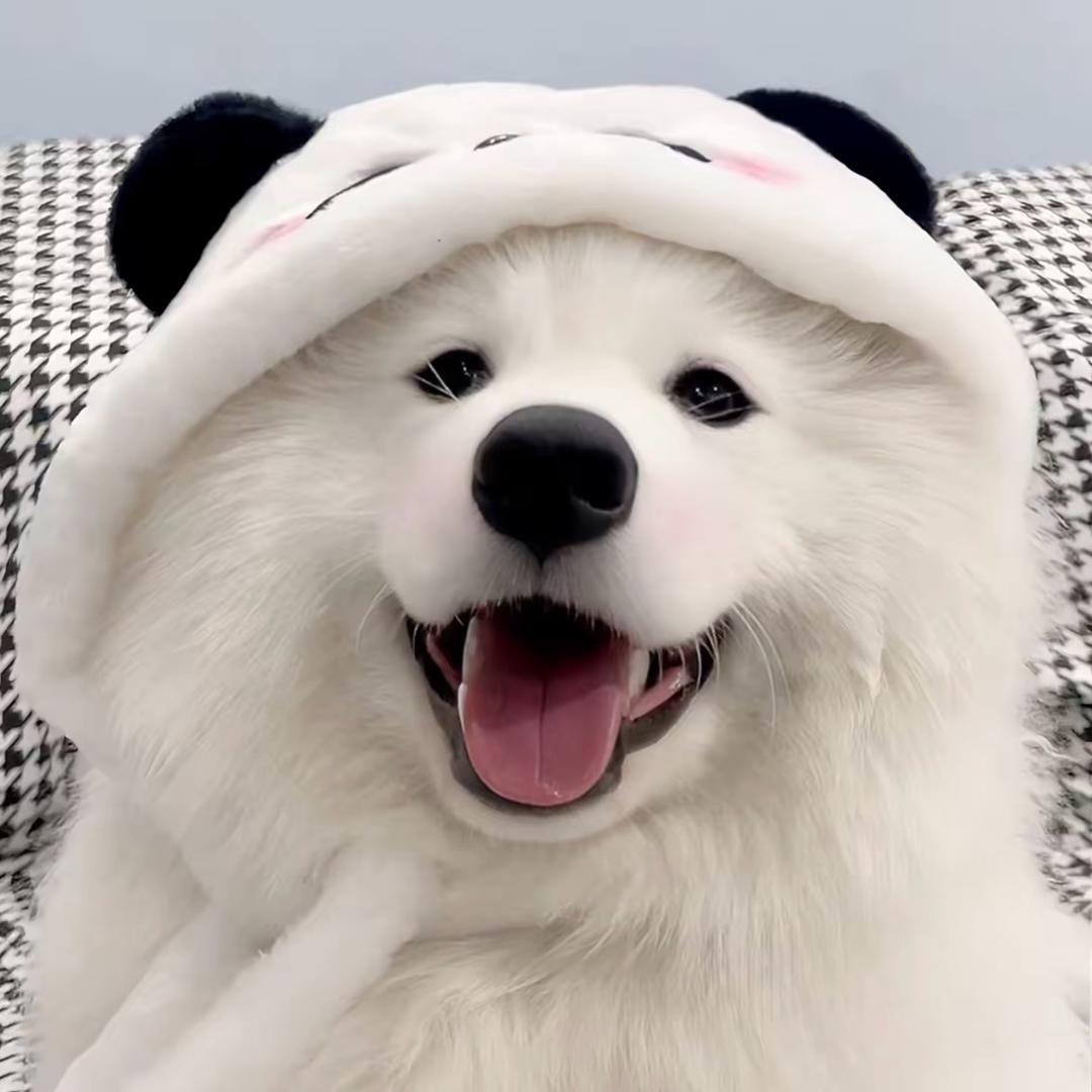 旺仔，