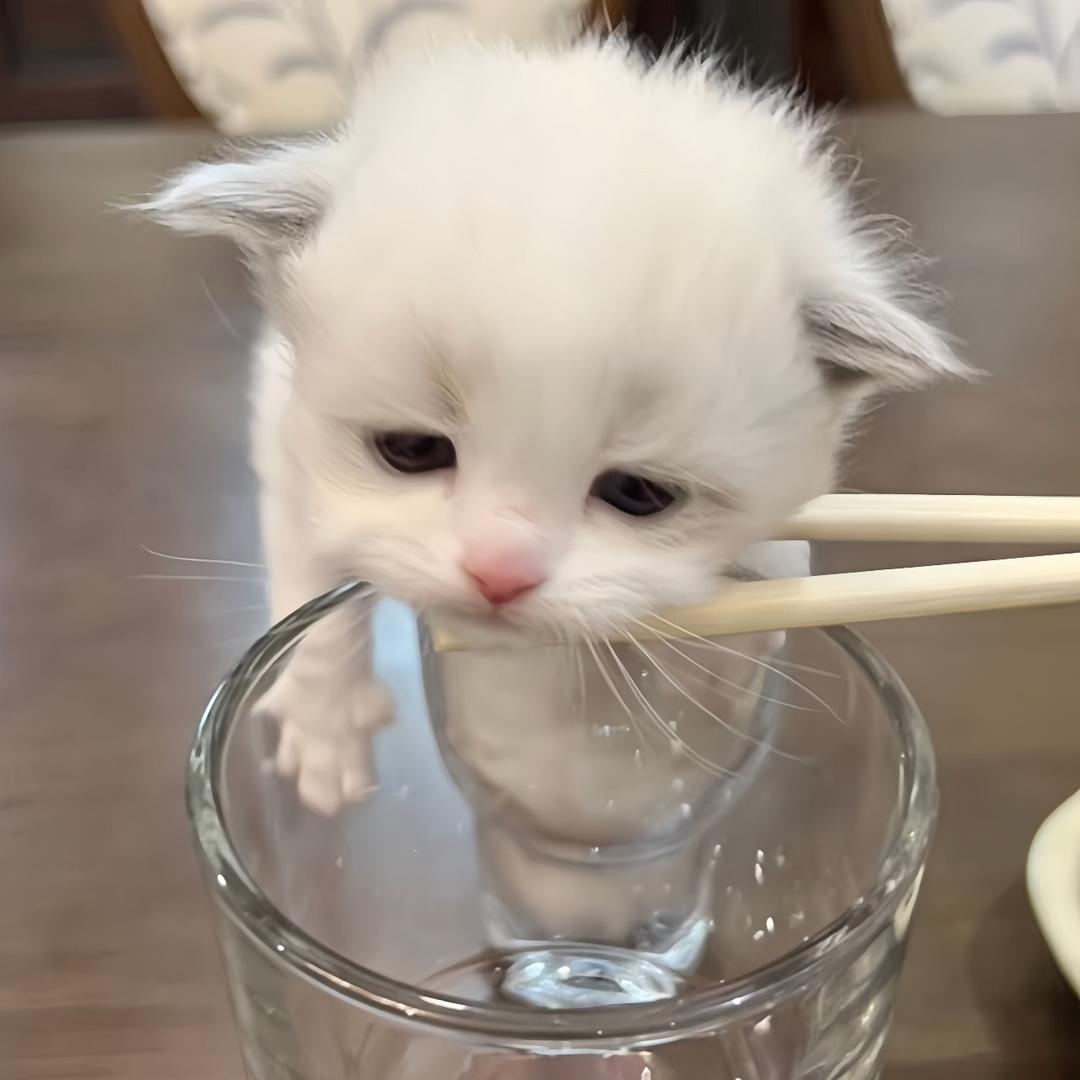 好饿啊