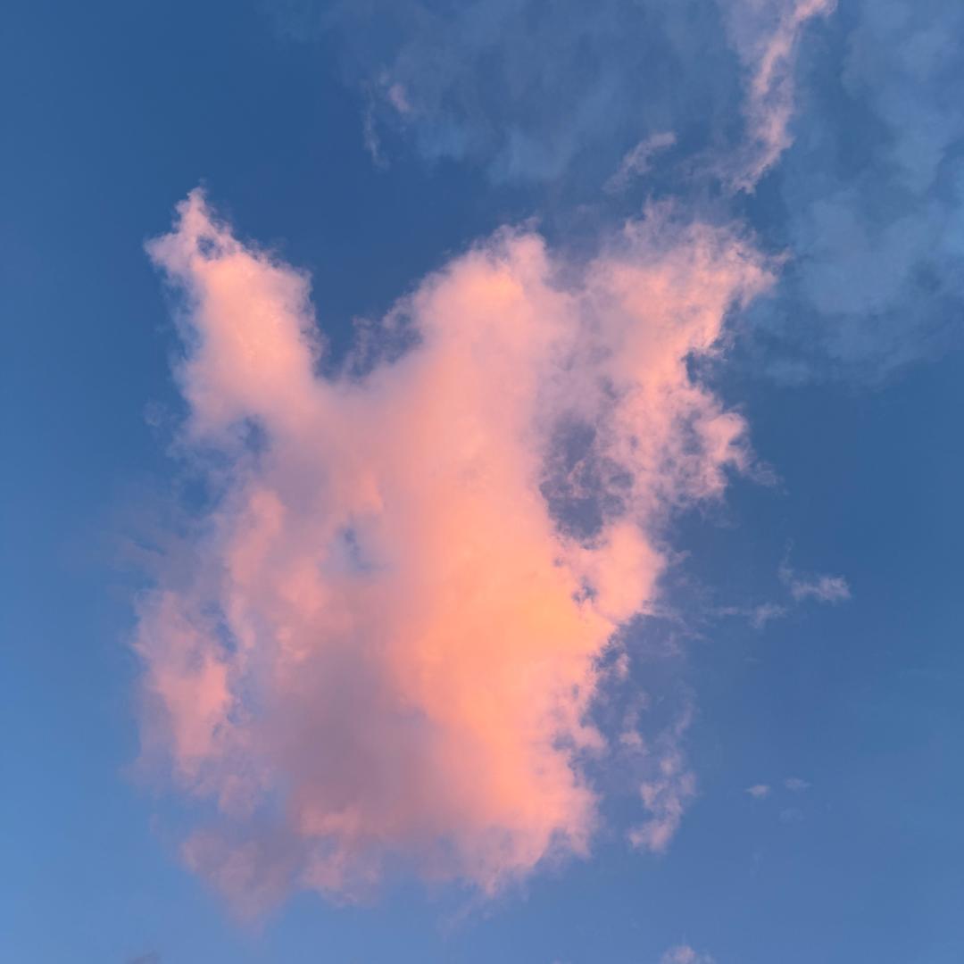 不吃香菜叉出克