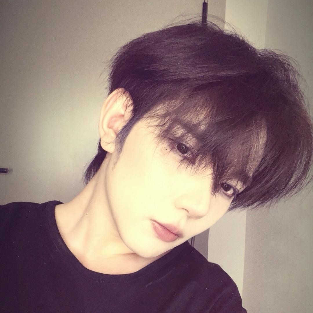 华华（复仇归来版）🐰