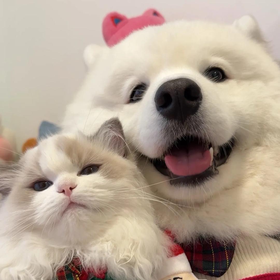 紫💜🐻‍❄️妹妹