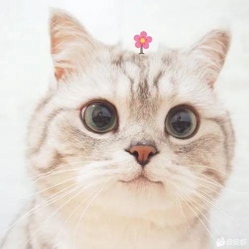 爱玩游戏