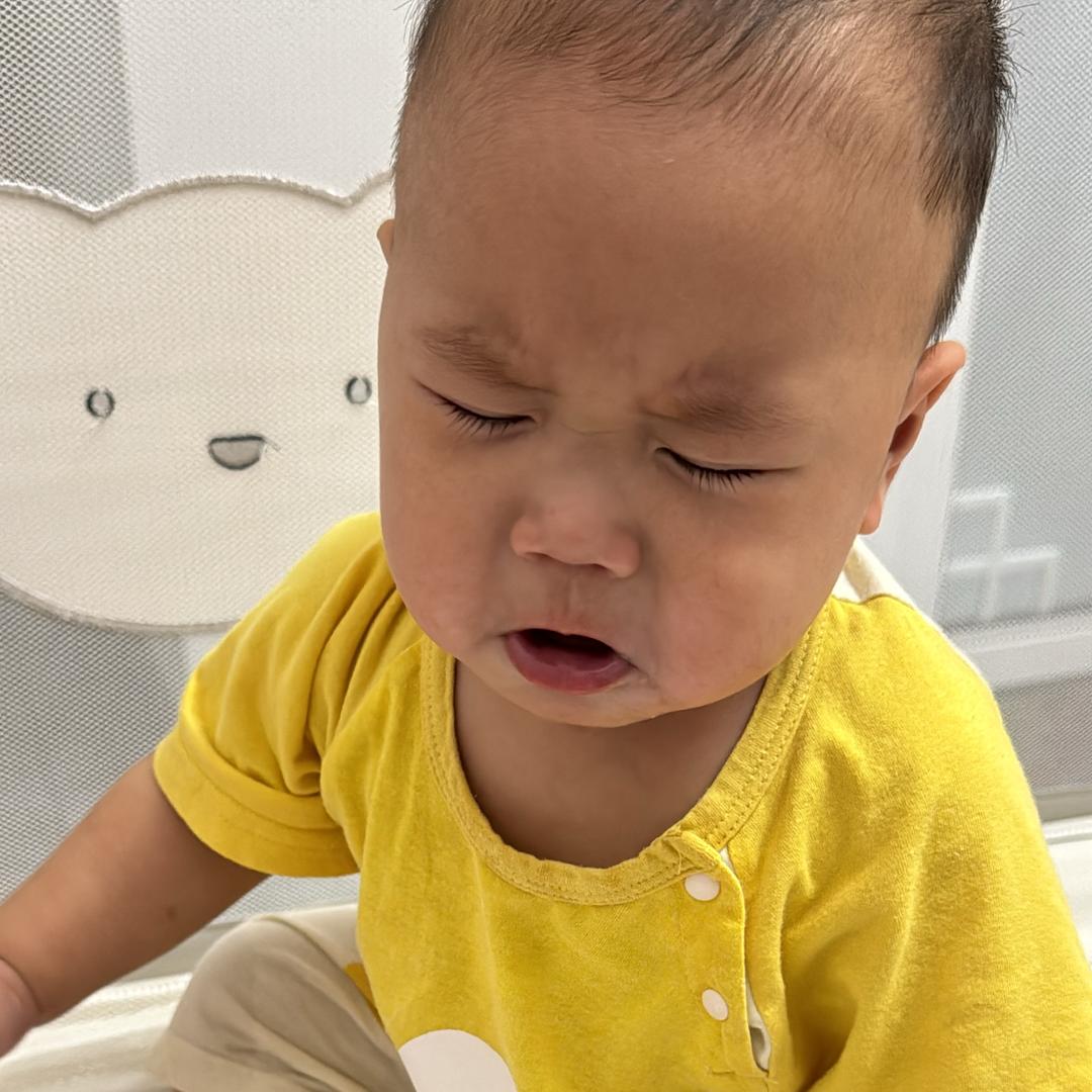 曲奇仔成长记