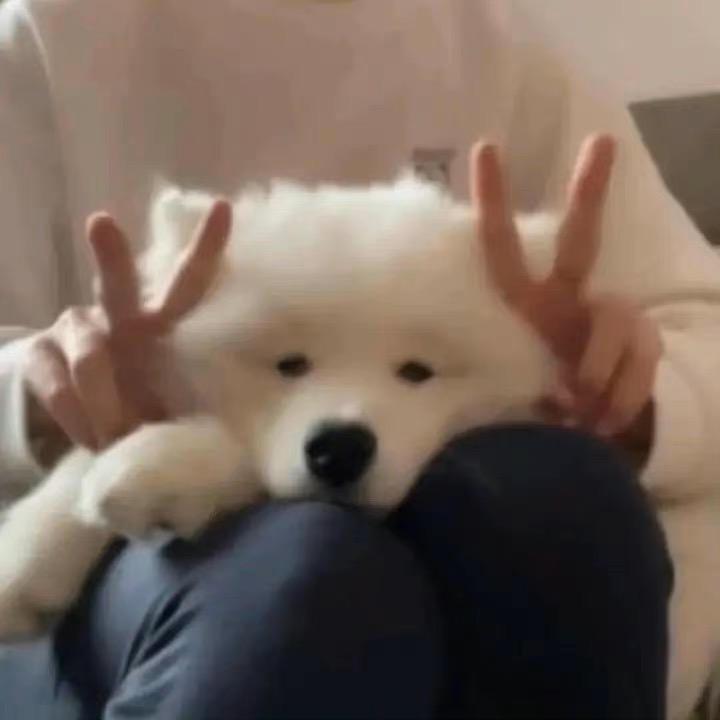 zz