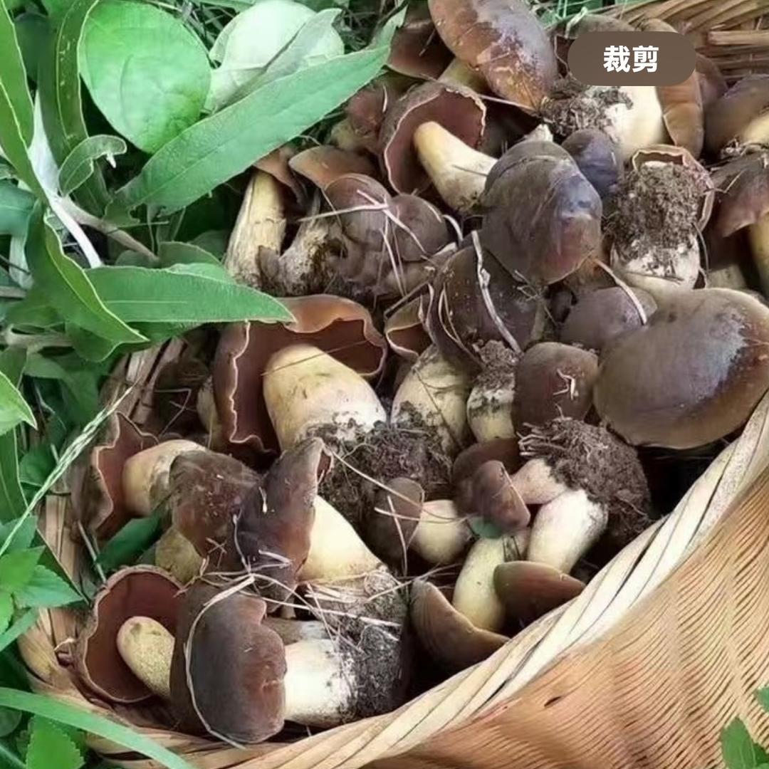 红文优选