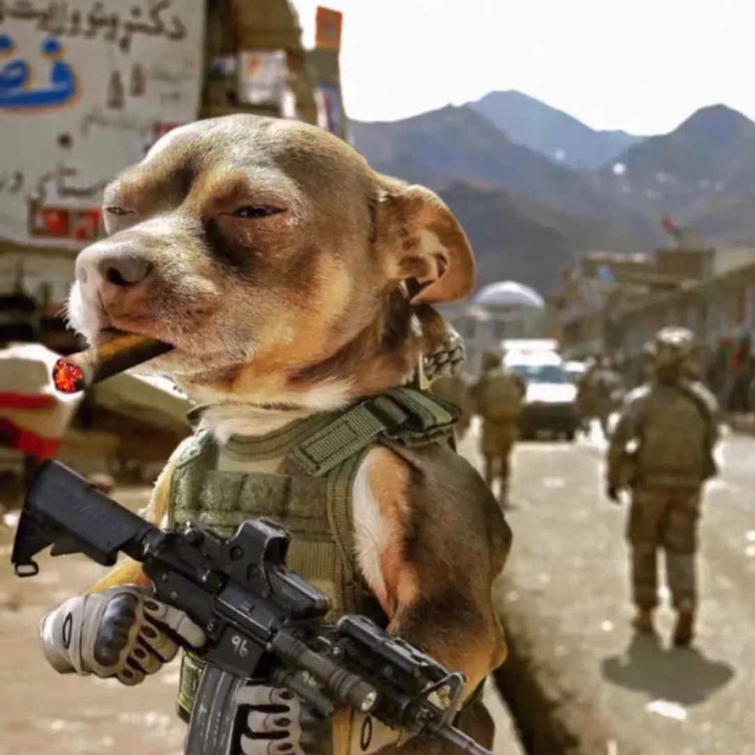 余晖下的暖阳°