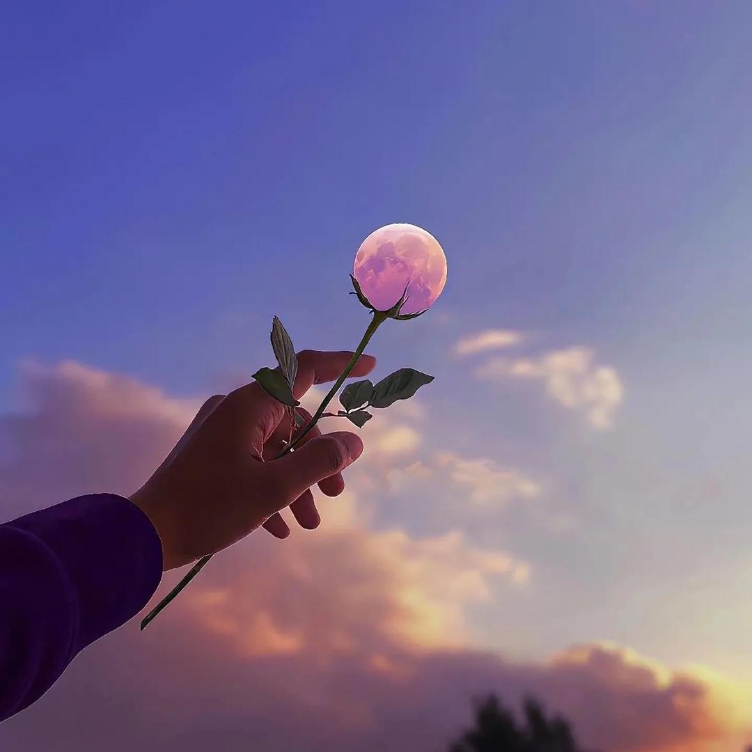 火欧寄卖行～贵哥