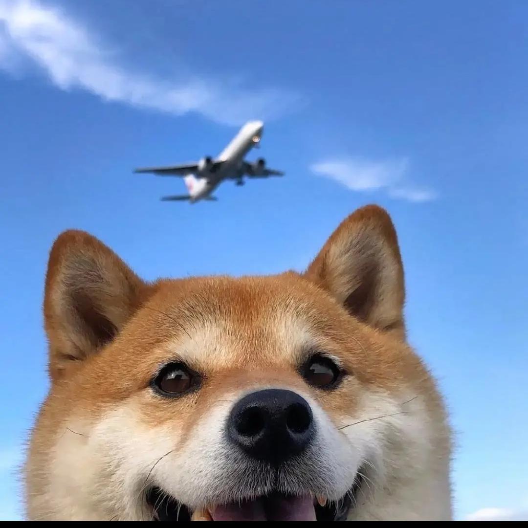 -..