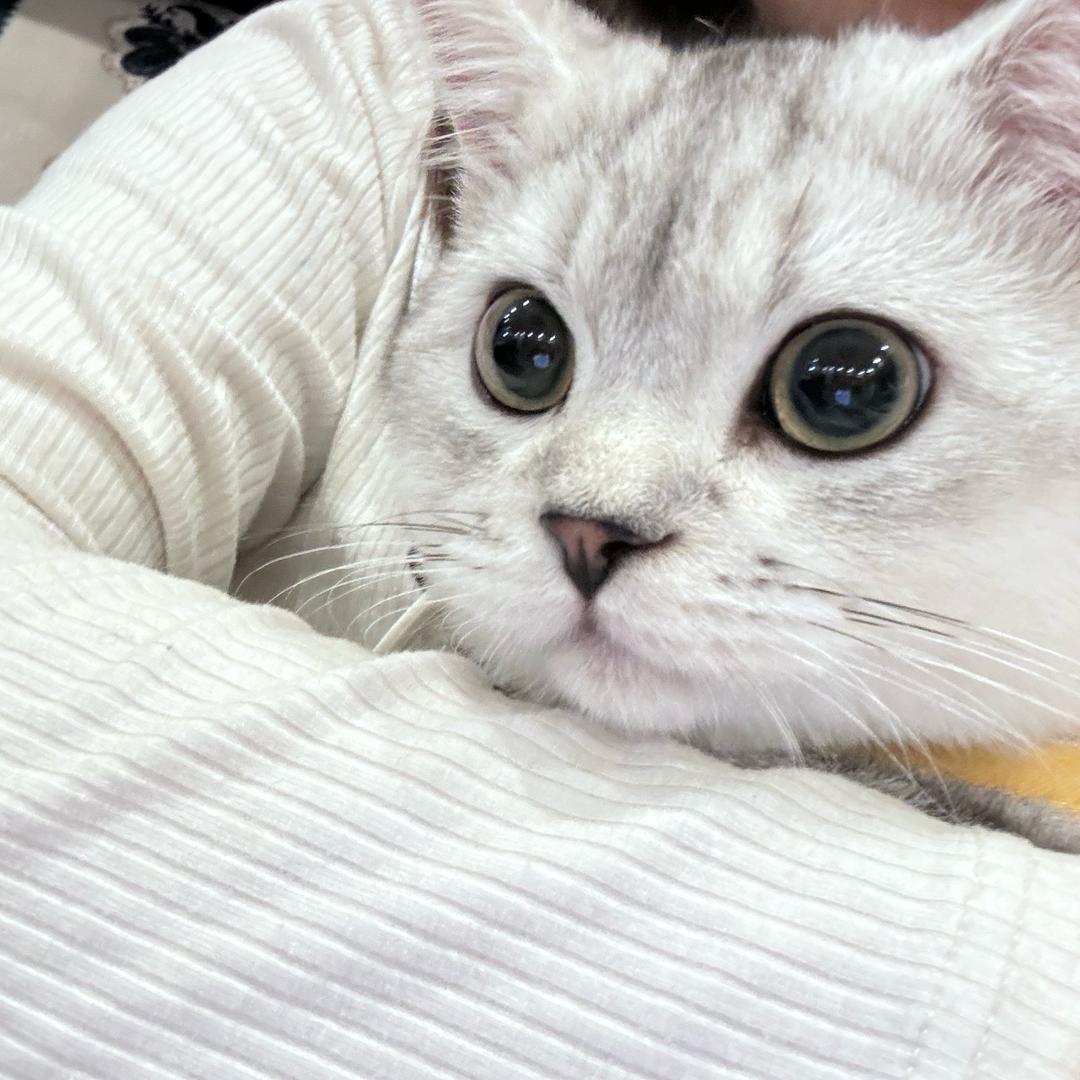 小泽-