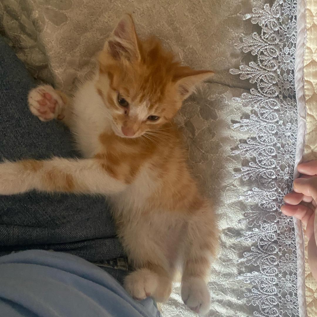 山楂红了（火共代燒）