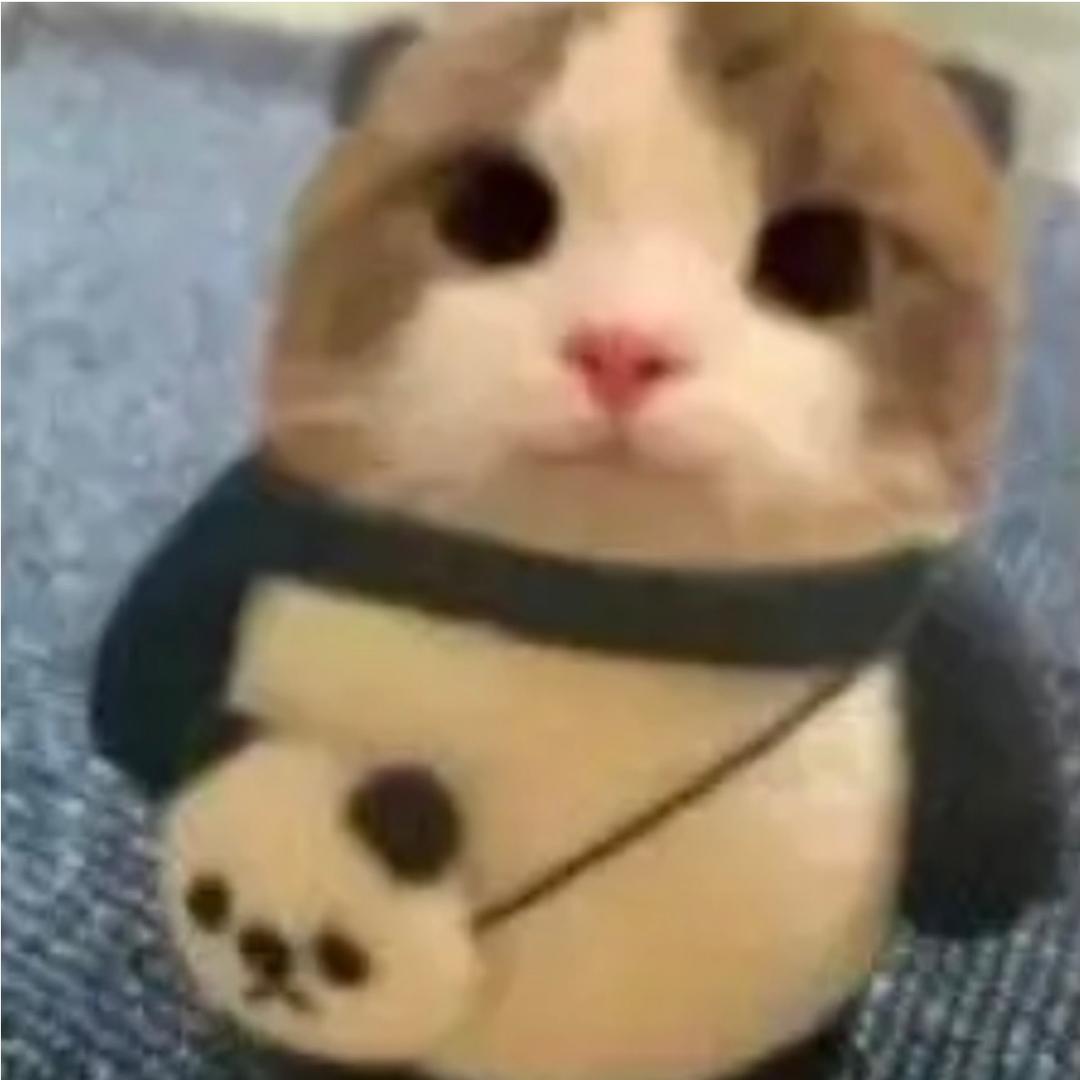 小迷o