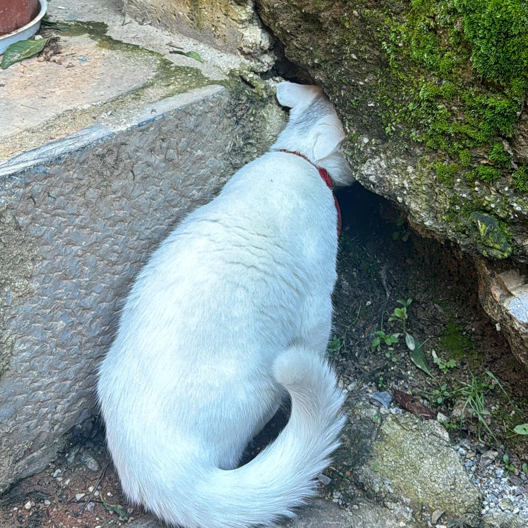 🌈你当像鸟飞往你的山