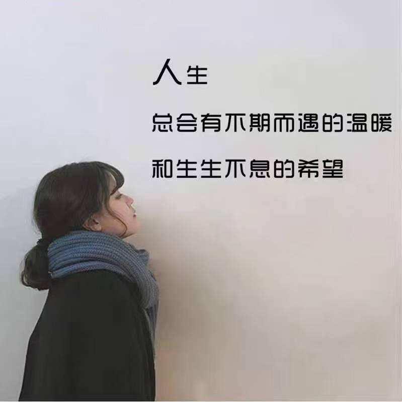 松竹含韵