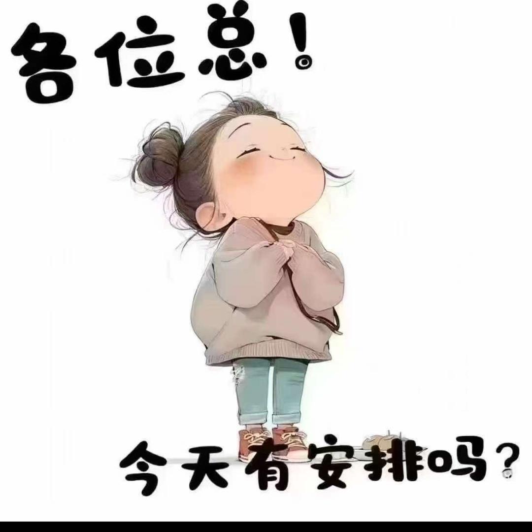 罗马国际85号