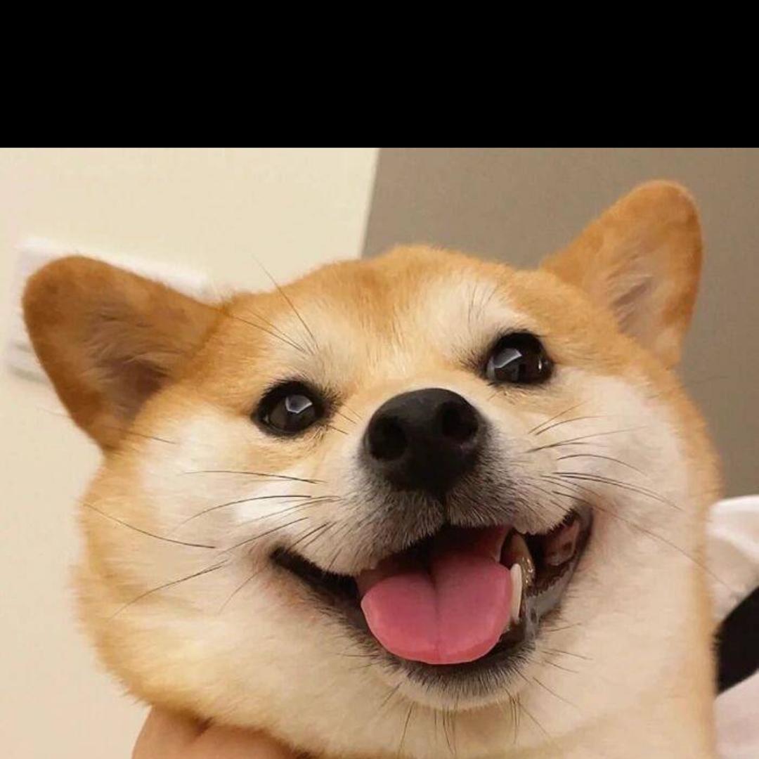 人生最美是清欢