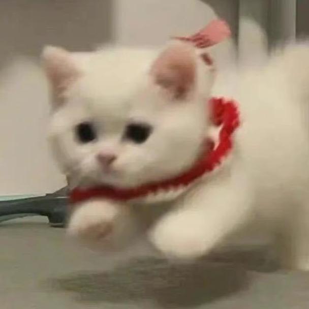 红叶丶