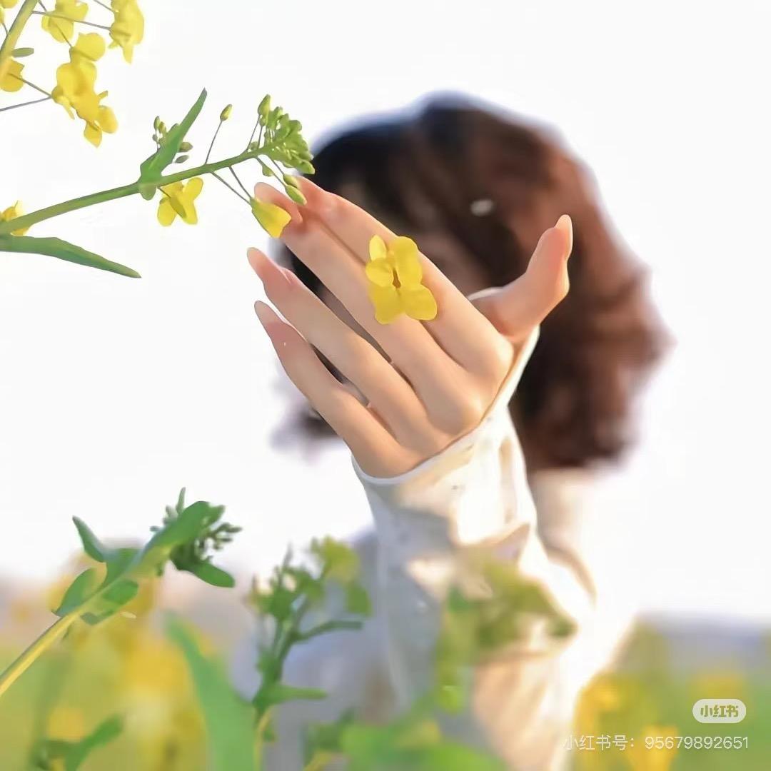 🍀淘我所爱
