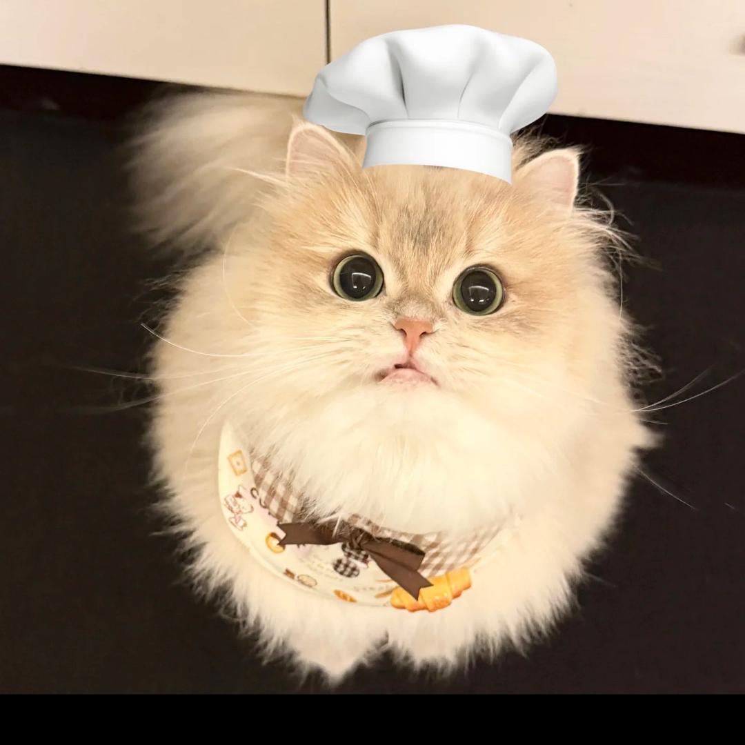 𝗟𝗶𝗶𝗲