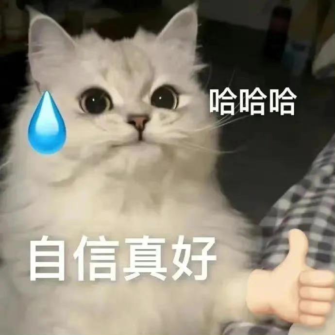 谦谦谦i