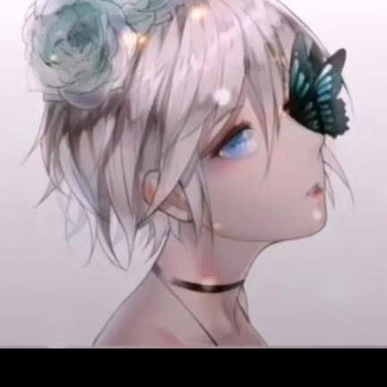 漂亮蝴蝶