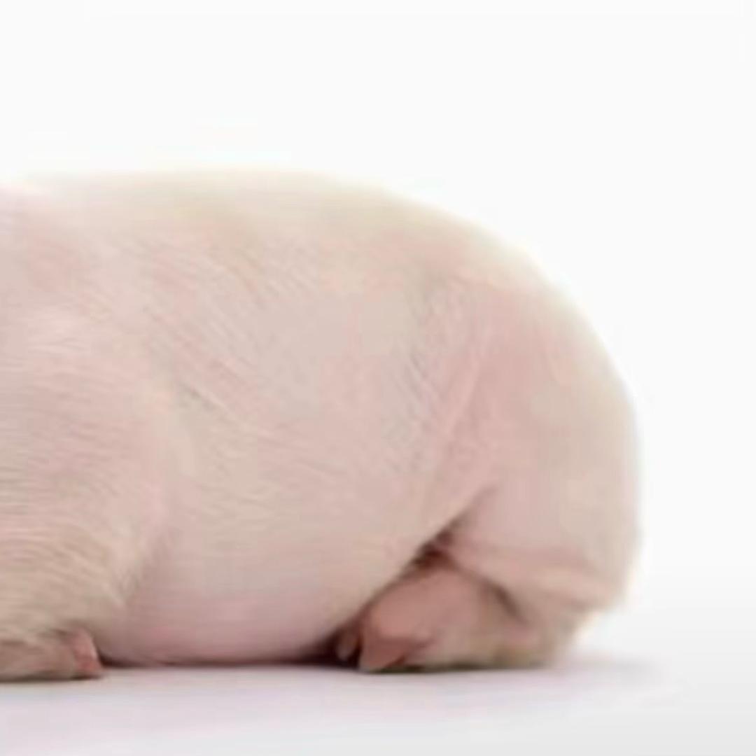 亚一狙—KK老师