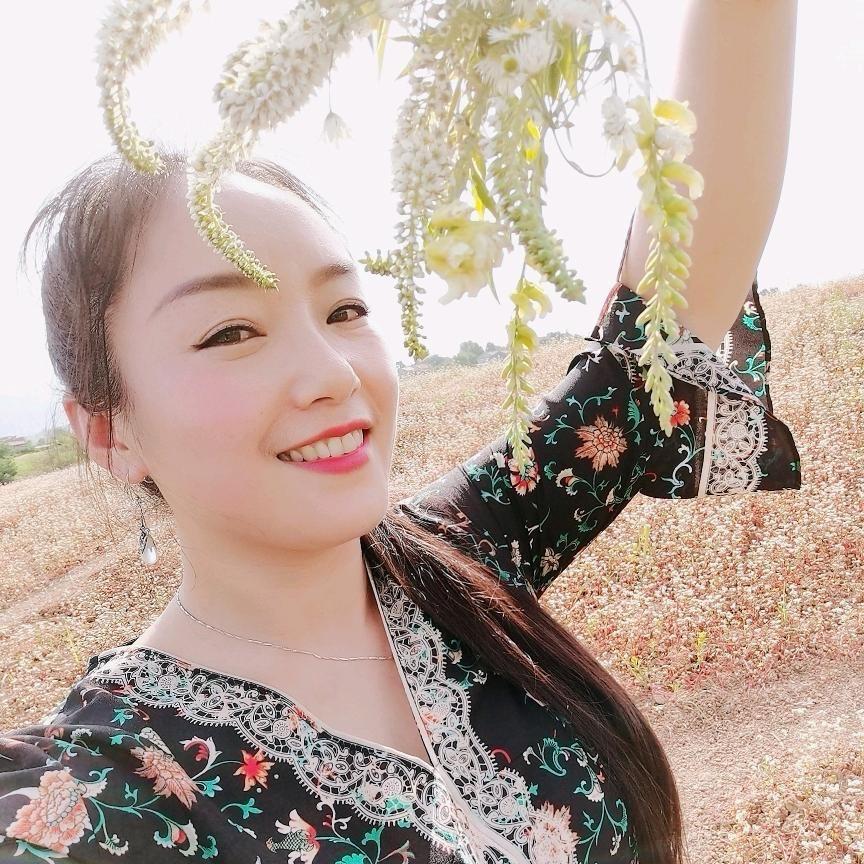 燕子yz