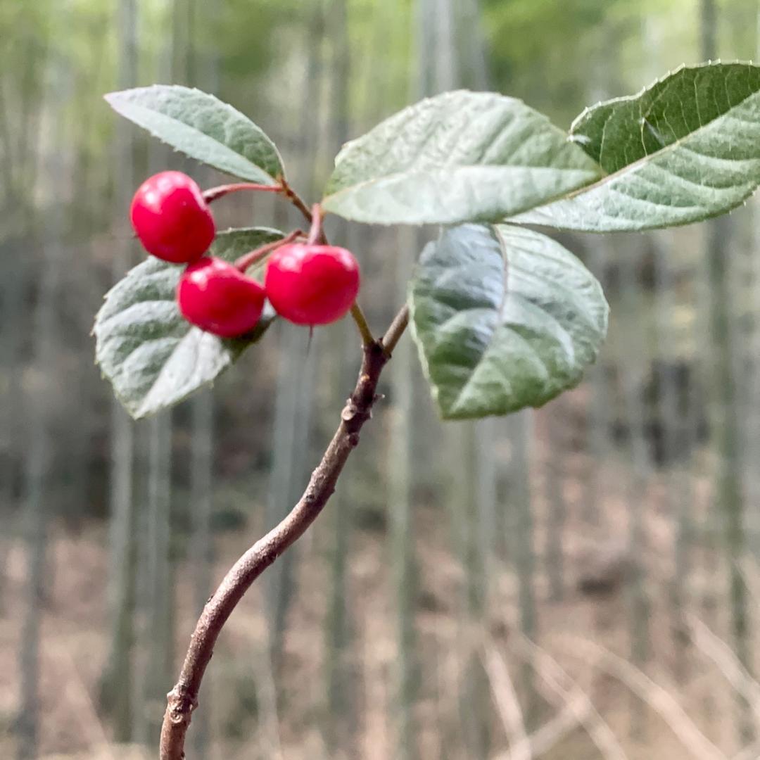 洁净车间设计与施工
