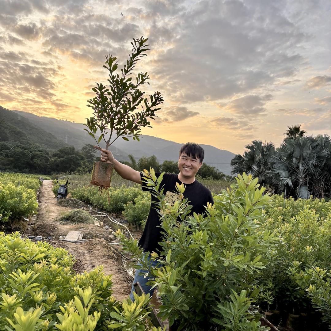 泰奇运果树苗木专营店