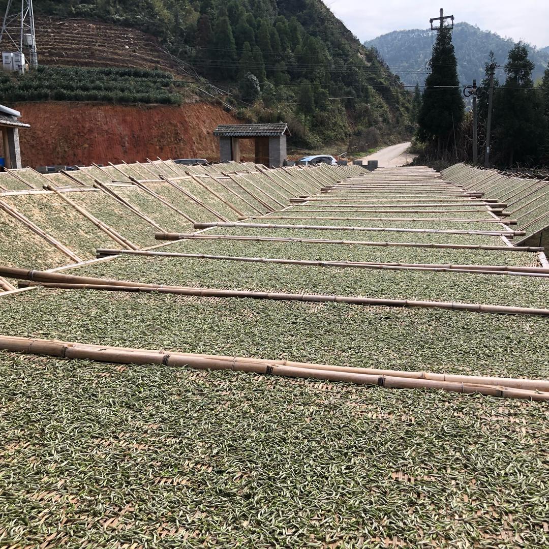 轶臻白茶企业店