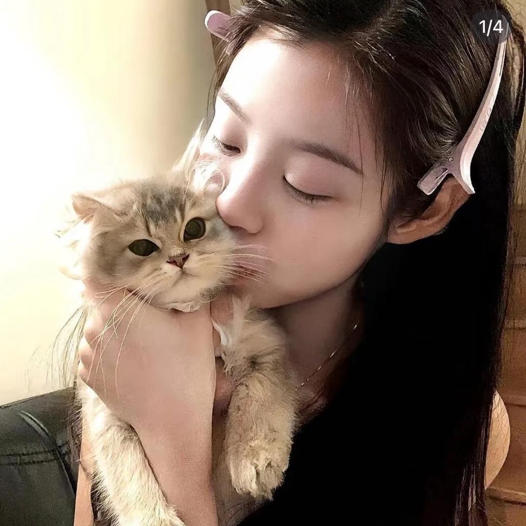 用户小宁🍒