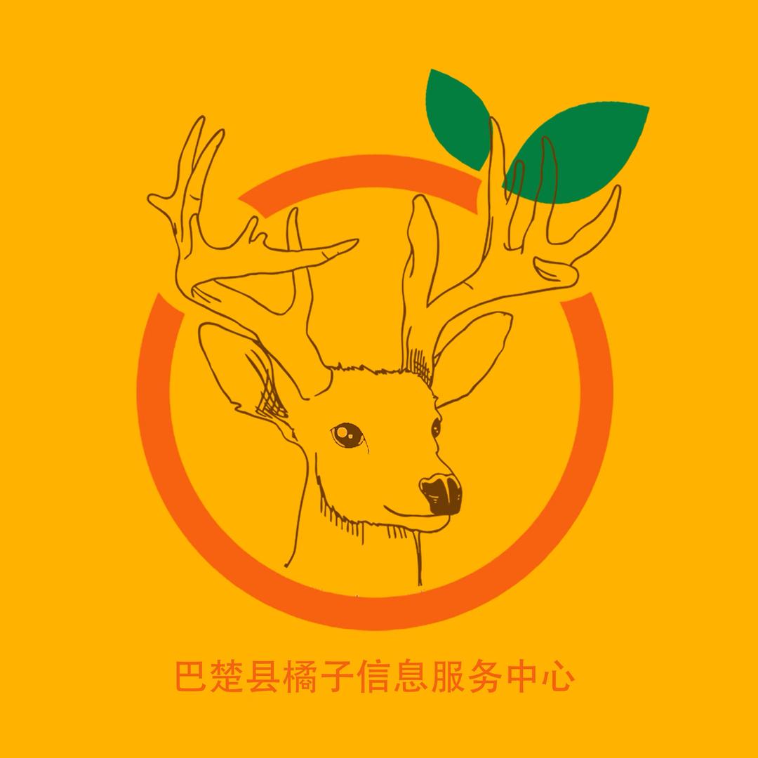 巴楚县橘子信息服务中心