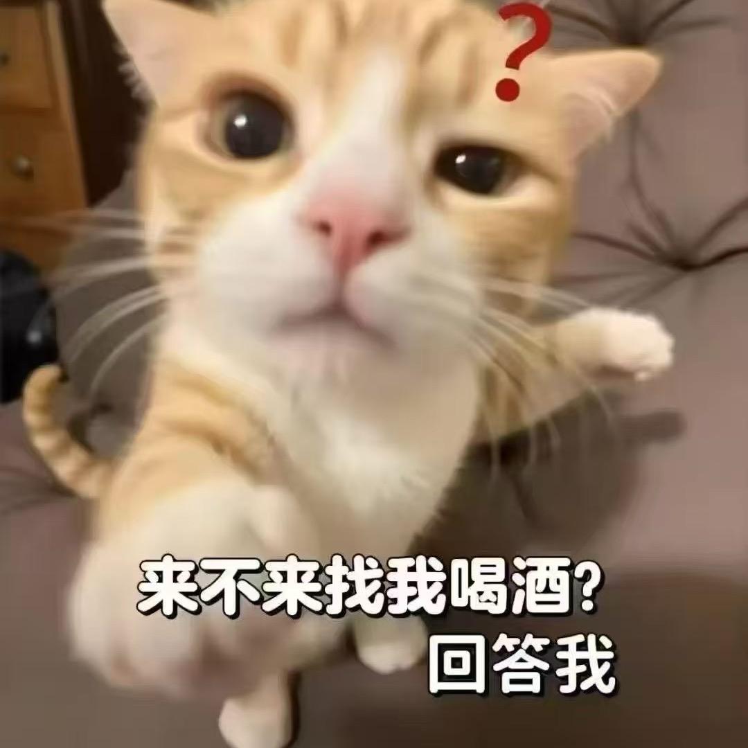 厦门星际酒吧林一（订台）