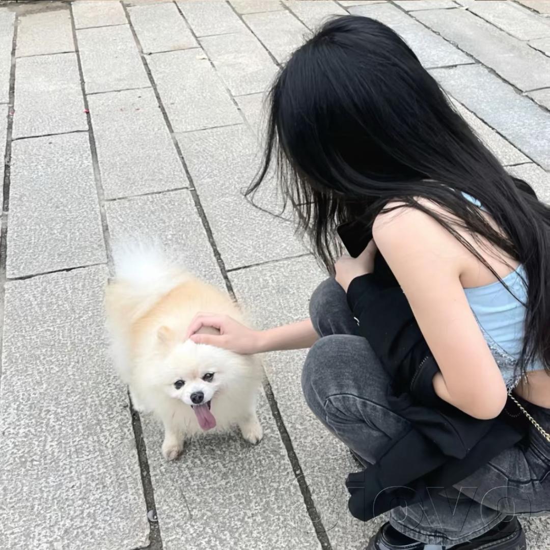 摆烂闲鱼🐟