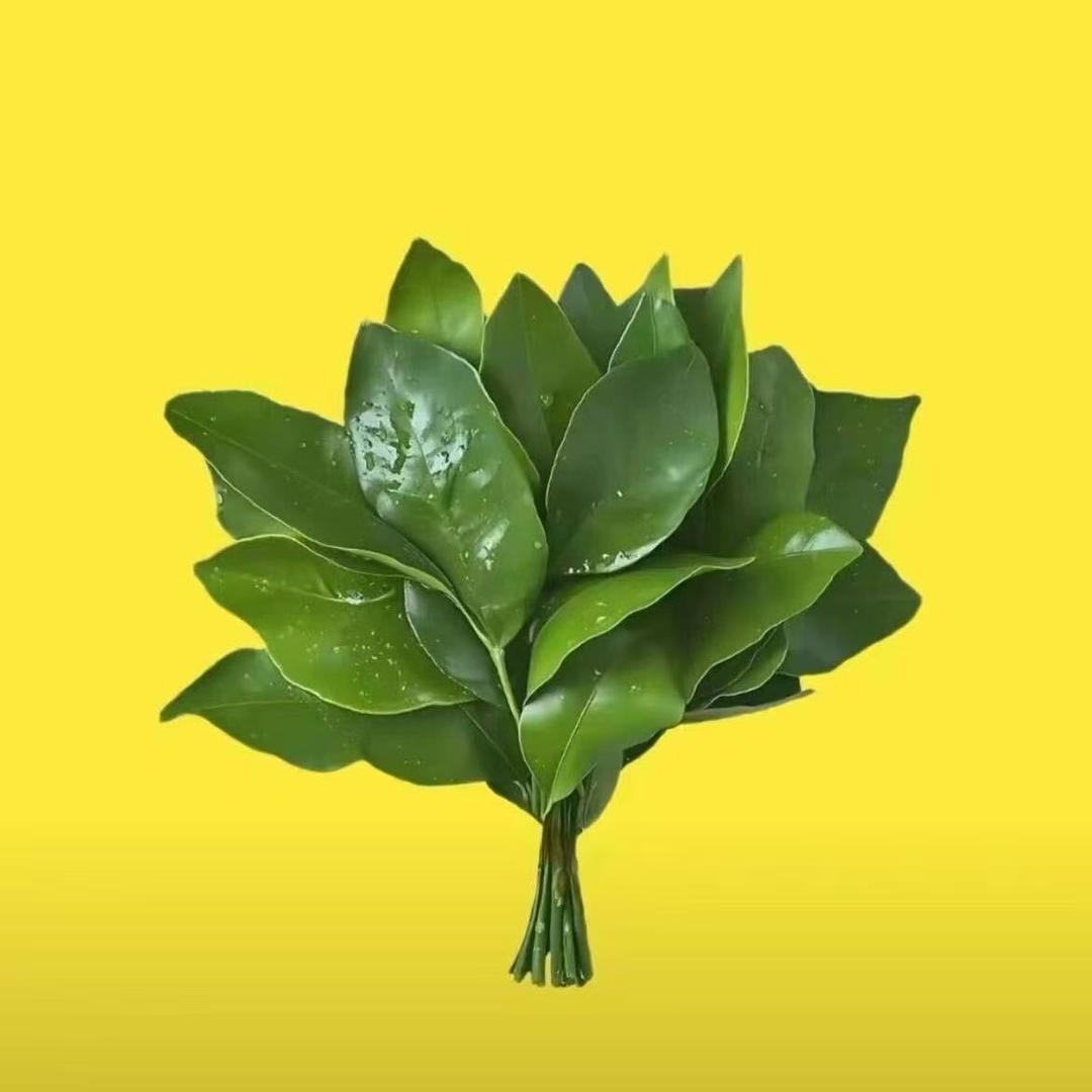 陈莉丹