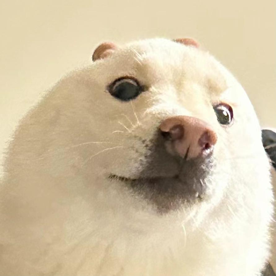发财的柴